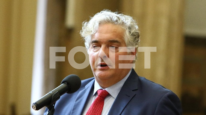 Na izbore bez Nestorovića
